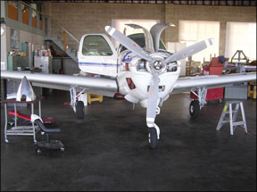 Annuals on Bob CorbettÂ’s 1973 A36