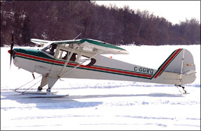 Taylorcraft