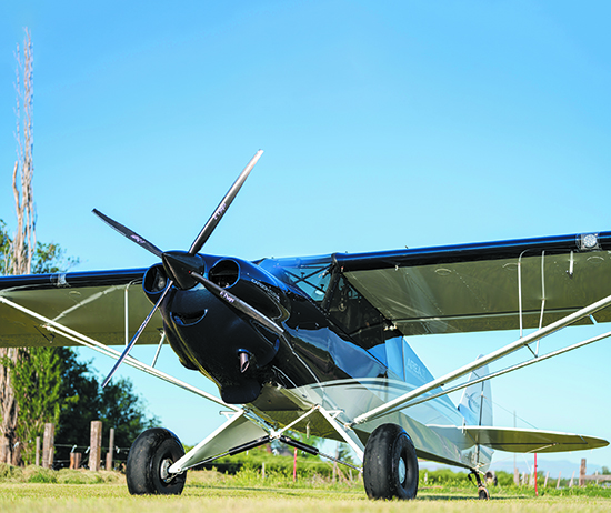 CubCrafters Carbon Cub UL (J Bliss) - 5